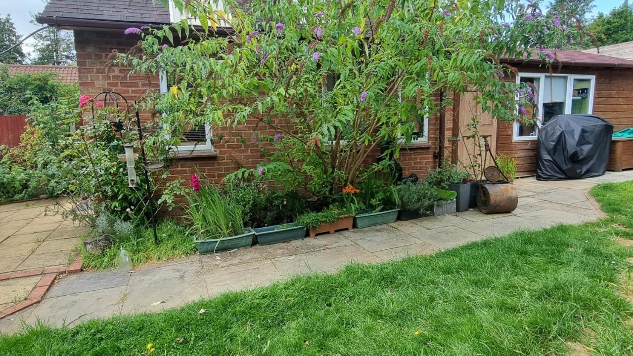 Glebe House, Private Entrance, Free Parking On Drive, Self Check In, Netflix Bed and Breakfast Ashford  Buitenkant foto